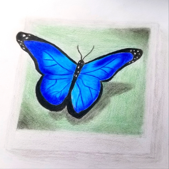 Meet your Posher, Sophie - Picture 1 of 1